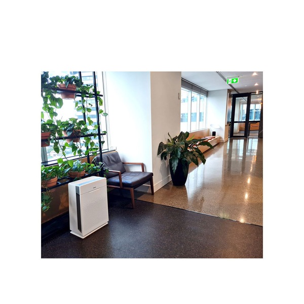 Image 9