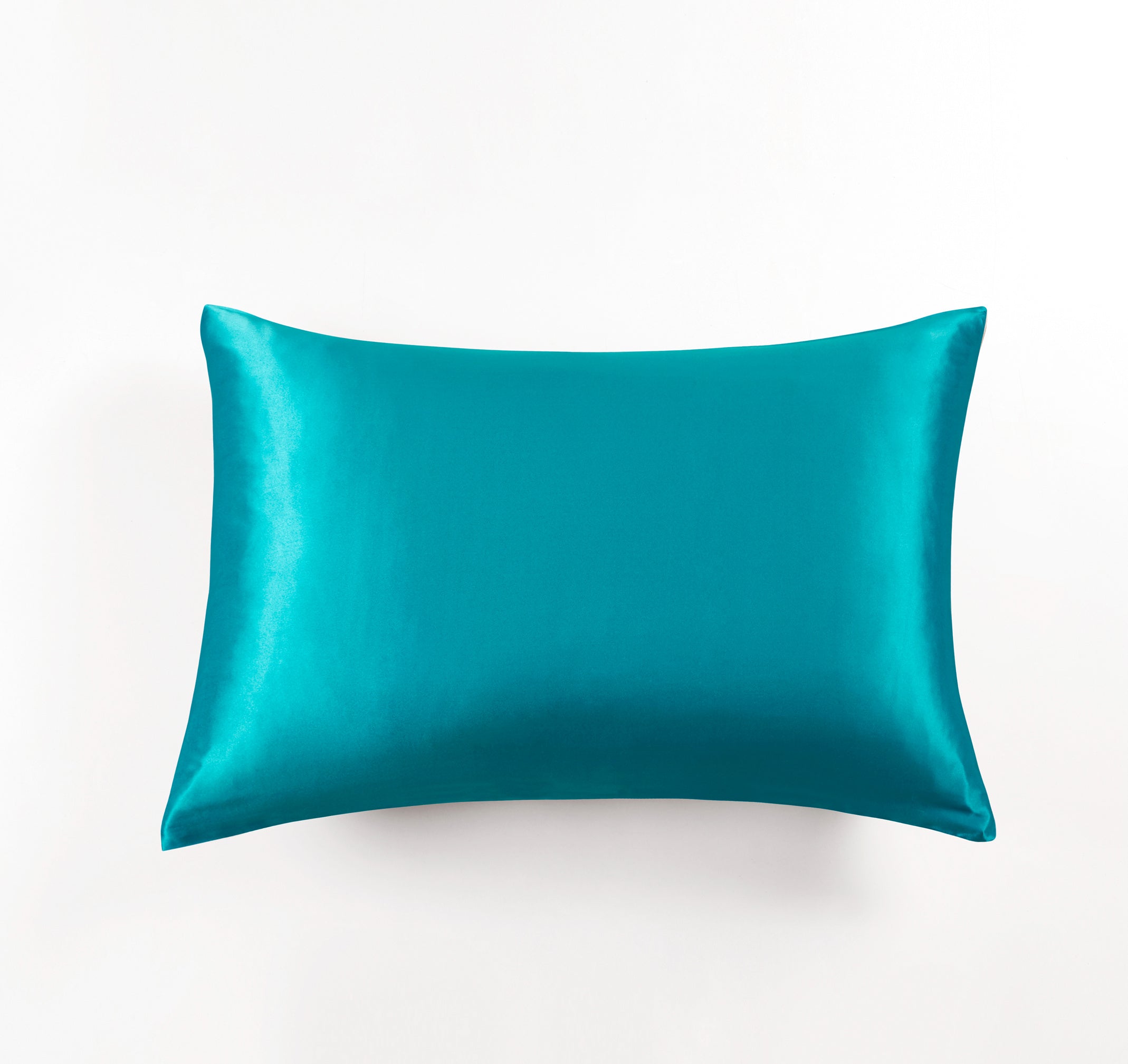 Gioia Casa Two Sided 100% Mulberry Silk Luxury Hypoallergenic Pillowcase - Teal