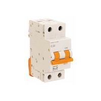 NHP 2 Pole Circuit Breaker 6kA MOD6