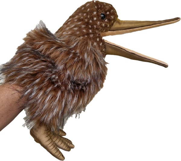 Image 3