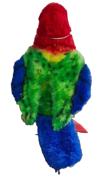 Image 2