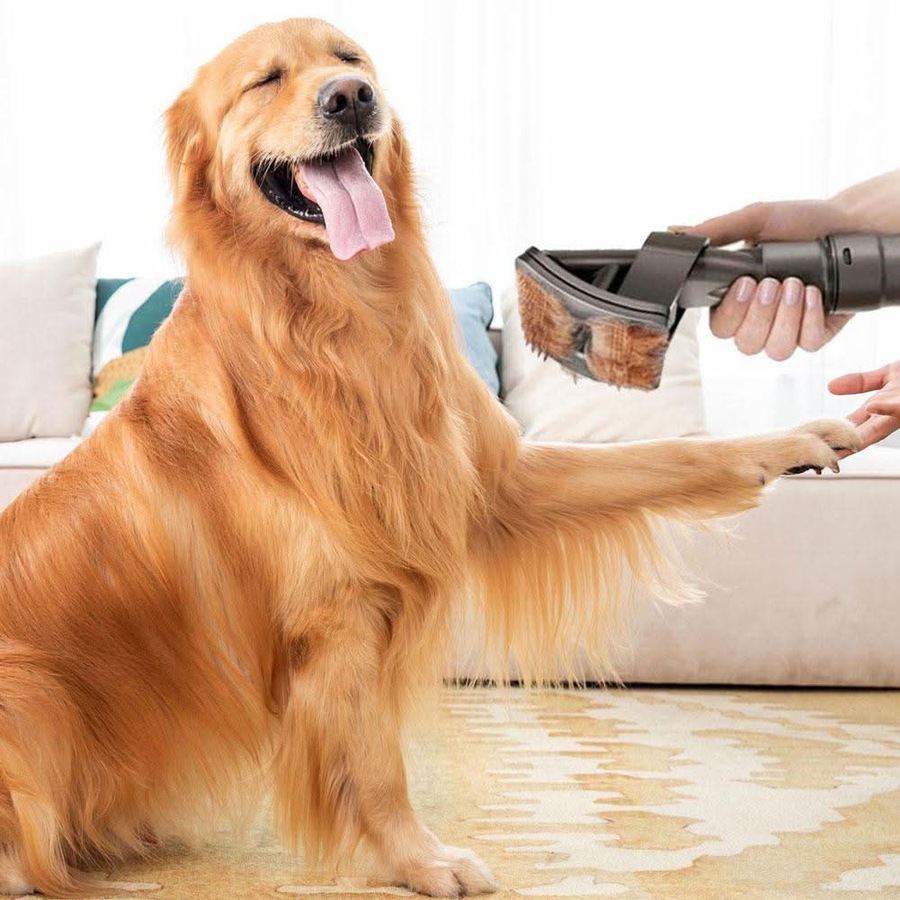 Grooming Tool Dog / Pet Attachment Brush Compatible for Dyson Vacuum Cleaners