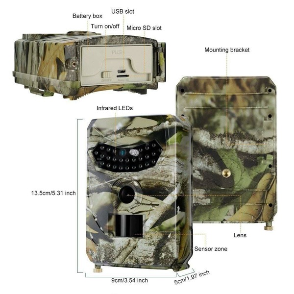 Image 4