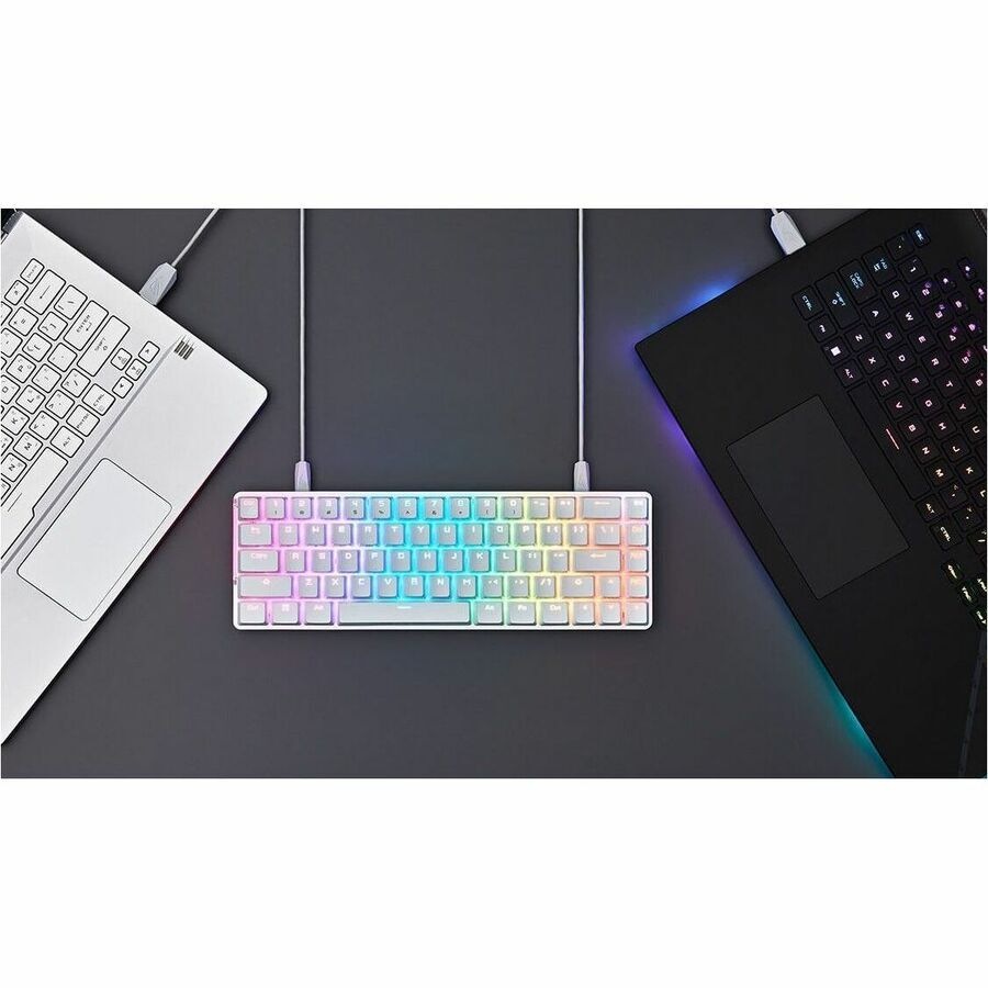 Buy Asus ROG Falchion Ace Gaming Keyboard - Cable Connectivity - USB 2. ...