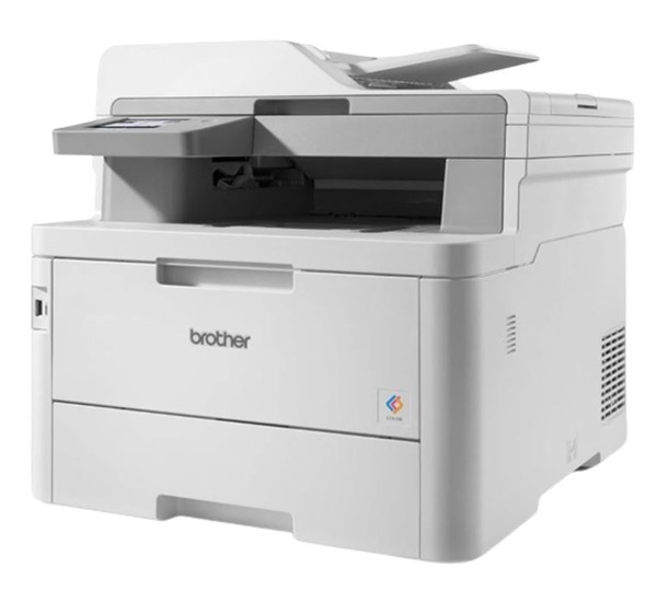 Image 4