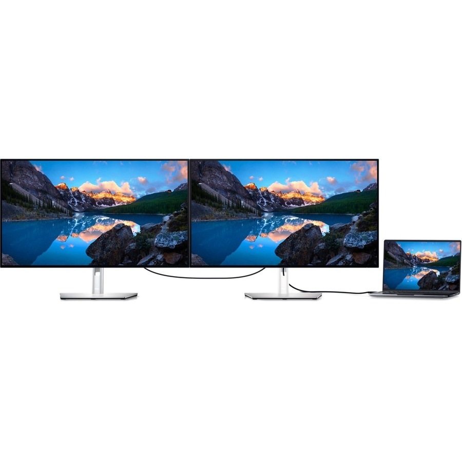 Dell UltraSharp U3223QE 32" Class 4K LCD Monitor - 16:9 - Platinum Silver, Black - 31.5" Viewable - In-plane Switching (IPS) Black Technology - LED -
