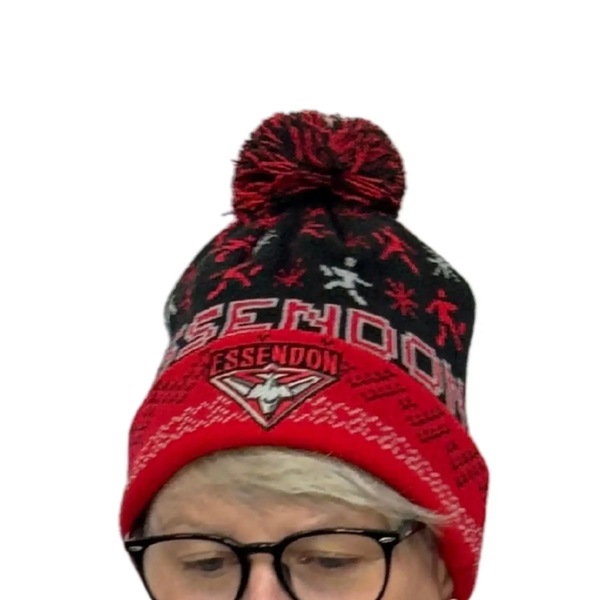 Image 4