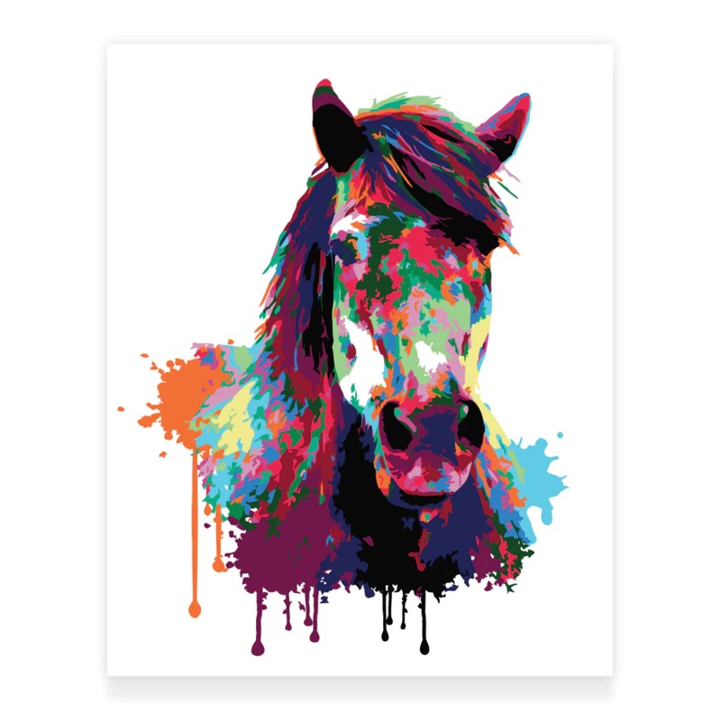 Buy Colordemy Premium Paint By Numbers Kit Horse Abstract Style