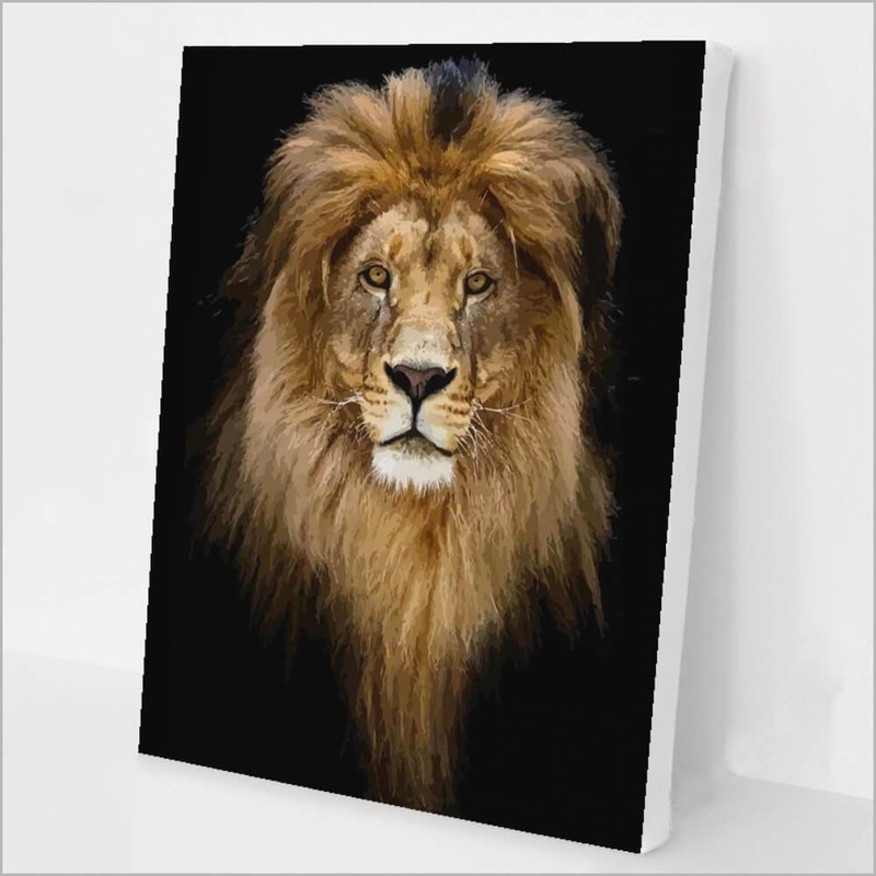 Buy Paint by Numbers Kit The Lion MyDeal