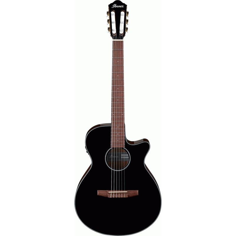 Ibanez AAEG50N , Acoustic Electric , Classical Guitar – Portland