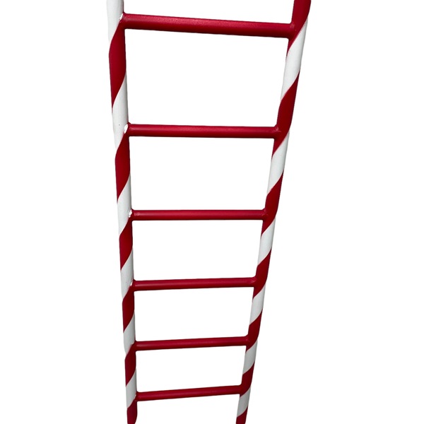 Image 8