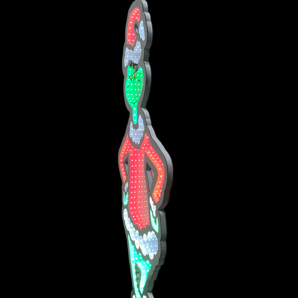 Image 5