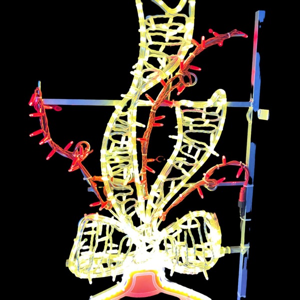 Image 4