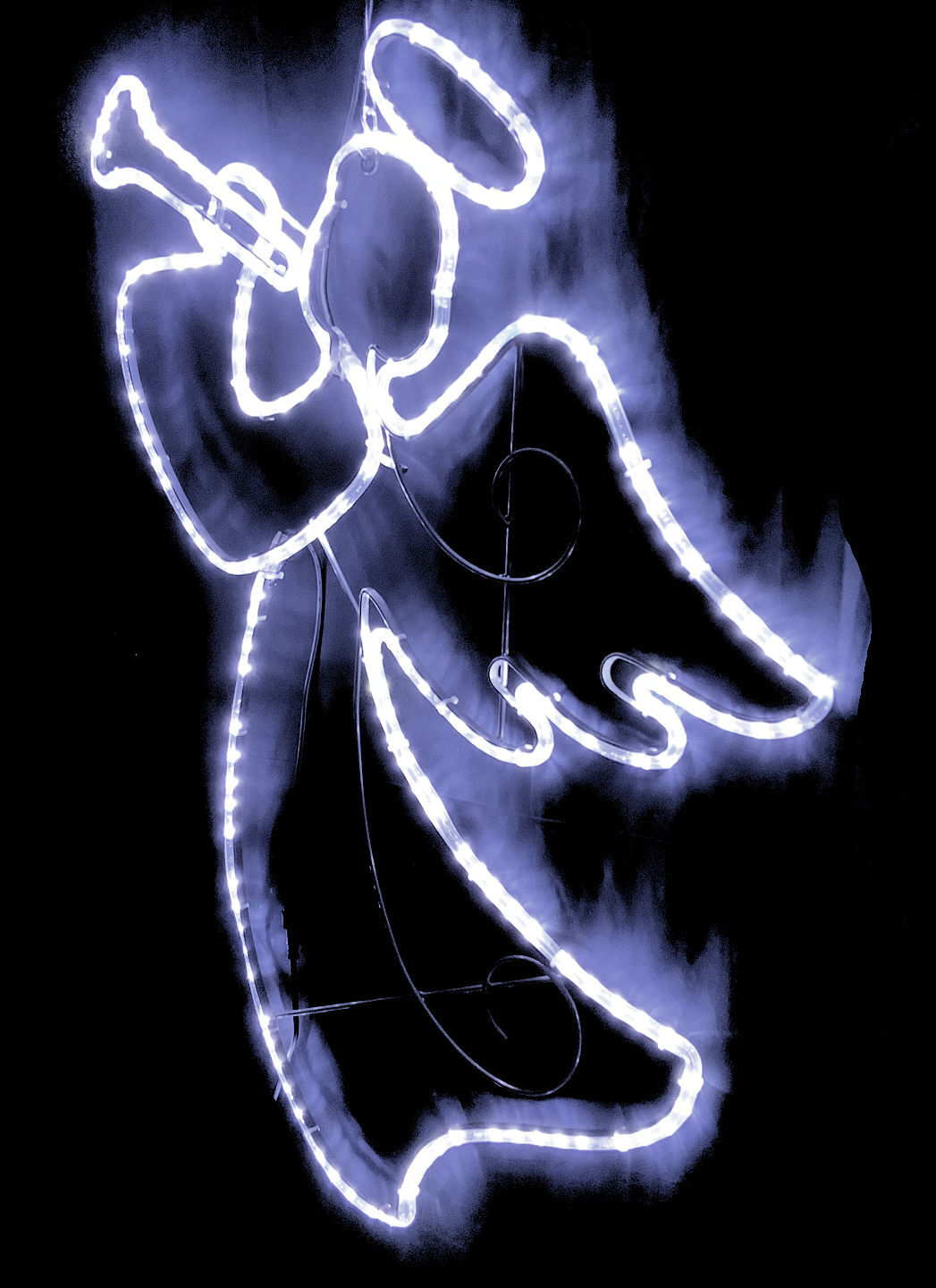 Image 7