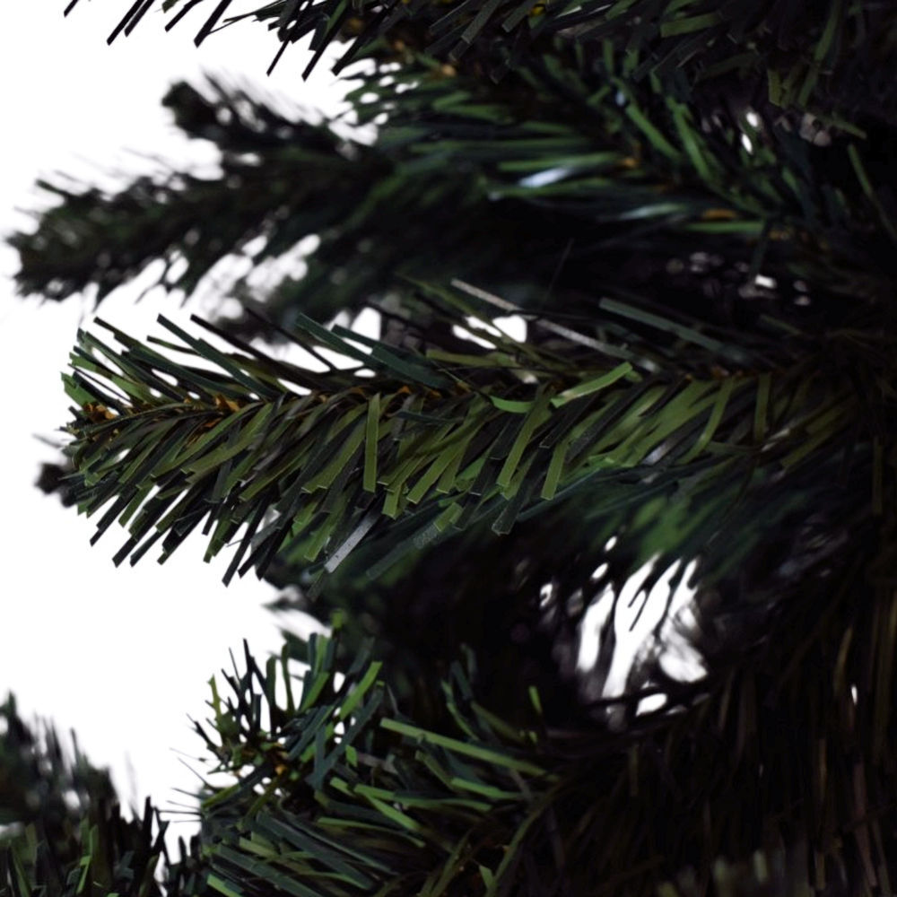 Image 9