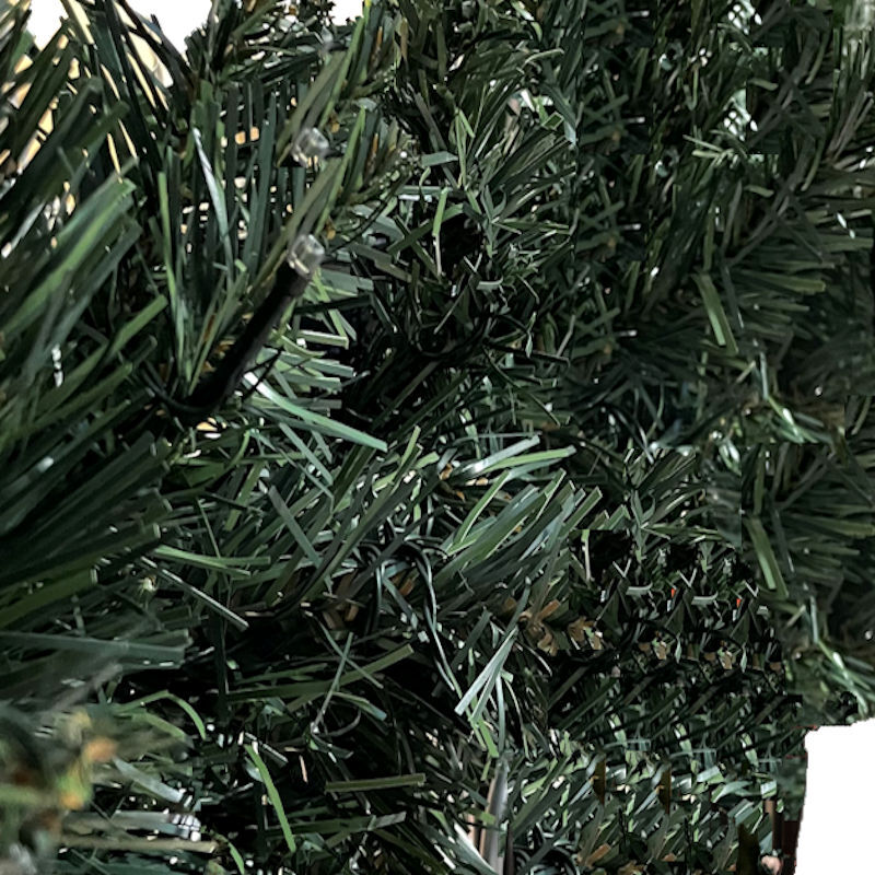 Image 6