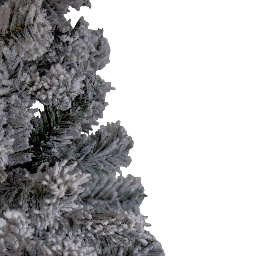 Image 10
