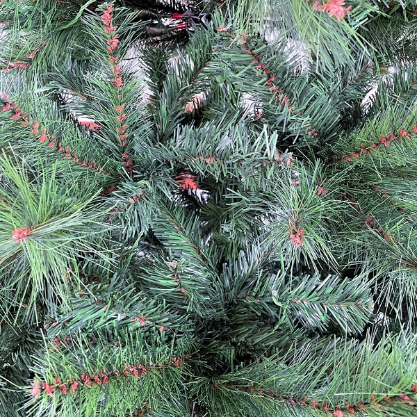 Image 6