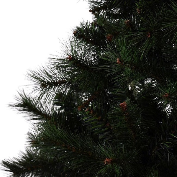 Image 9