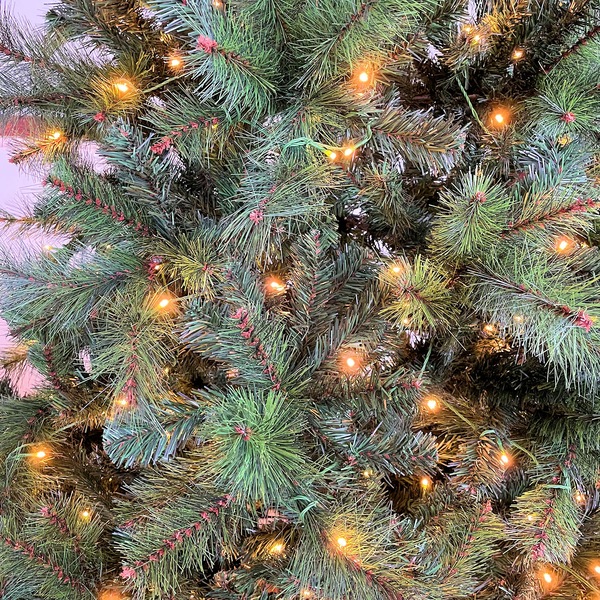 Image 8