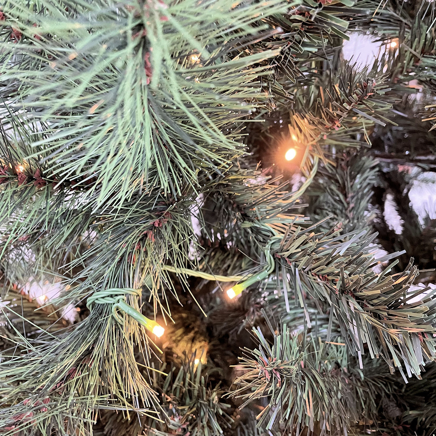 Image 9