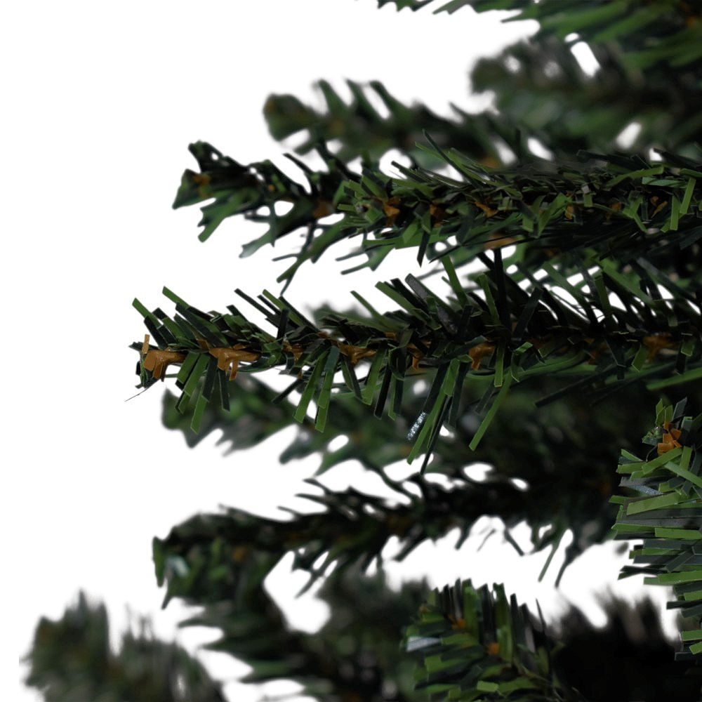 Image 8