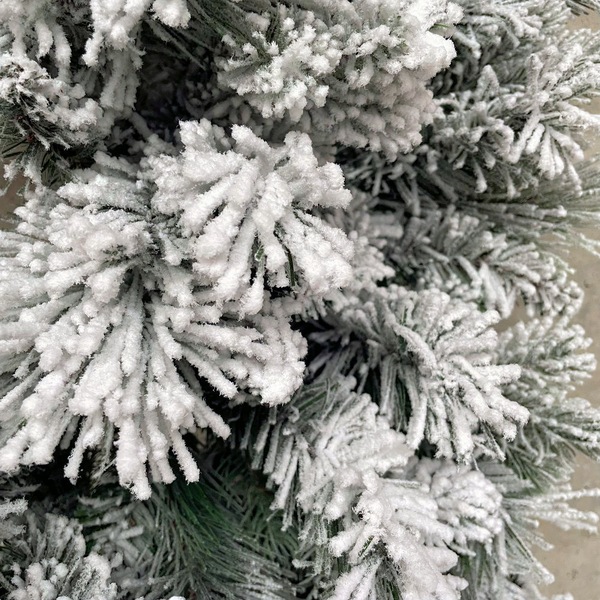 Image 9