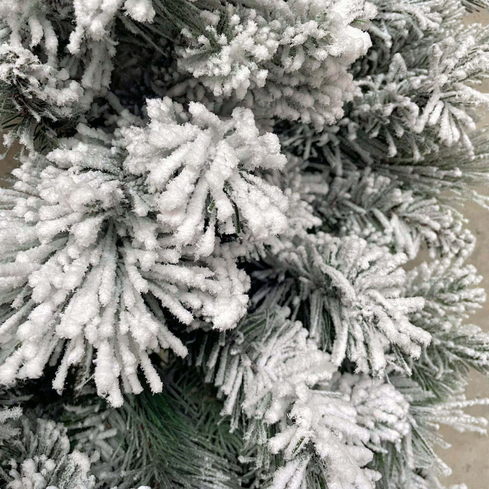Image 9