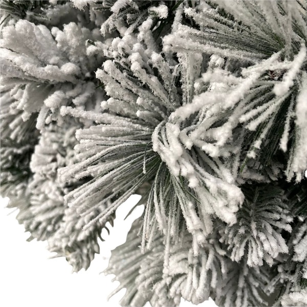 Image 10