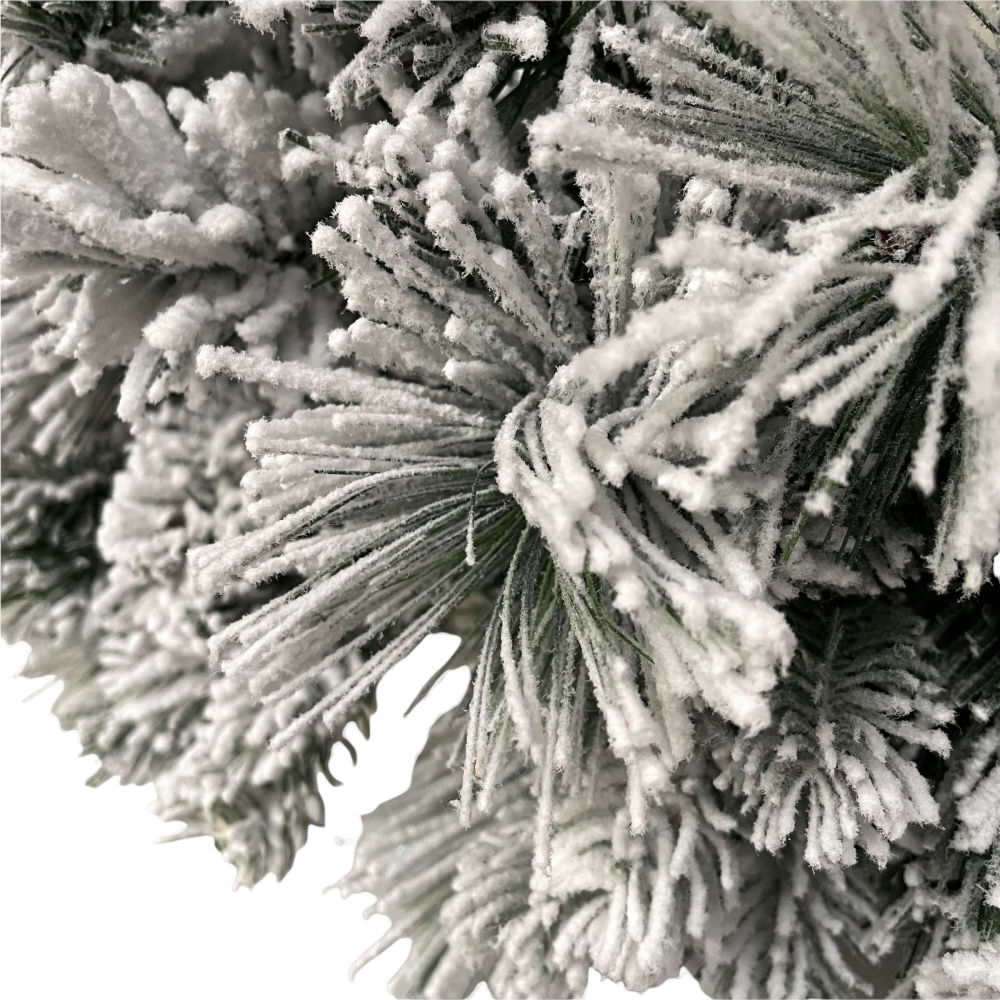 Image 10