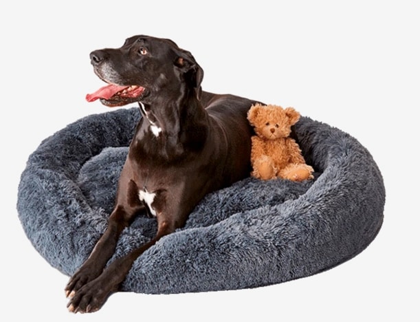 120cm store dog bed