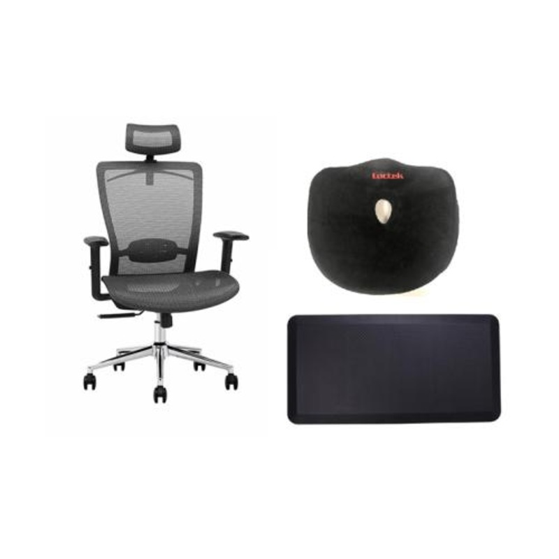 Buy Loctek Ergonomic Sit & Stand Bundle, With YZ101 Ergonomic Mesh
