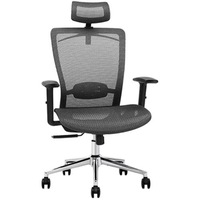 Loctek YZ101 Ergonomic Office Chair, With Backrest and Armrest - Adjustable lifting headrest with hanger - Passed AS/NZS 4438:1997 NZ Standard For Height adjustable swivel chairs [YZ101]