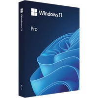 Microsoft Windows 11 Professional 64-bit English USB [HAV-00163]