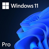 Microsoft Windows 11 Professional 64bit OEM Eng Intl 1PK DSP OEI DVD For new system only [FQC-10528]