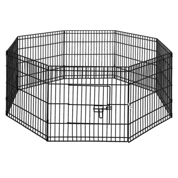 Image 6