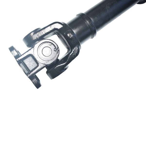 Image 5