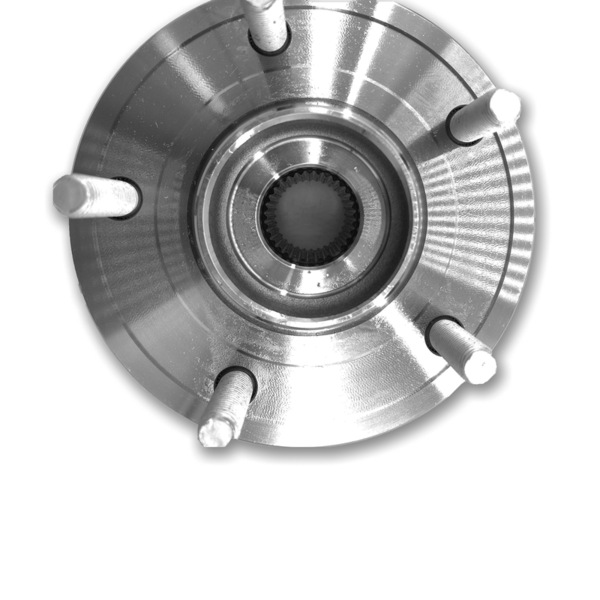 Image 5