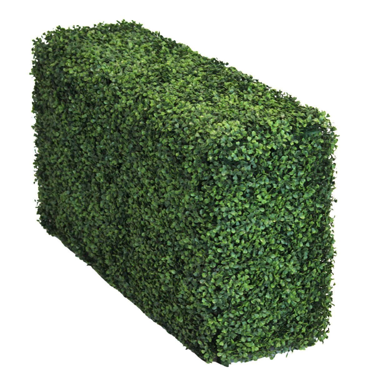 Freestanding Artificial Hedge - English Box (Buxus) 100x50cm