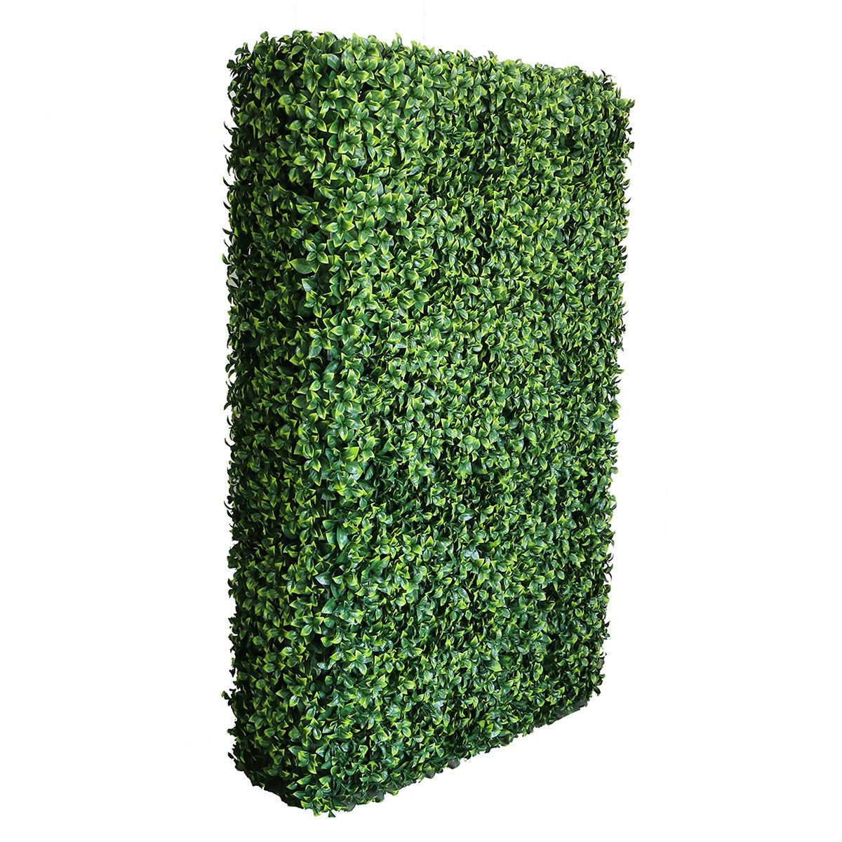 Freestanding Artificial Hedge - Pittosporum 100x150cm -