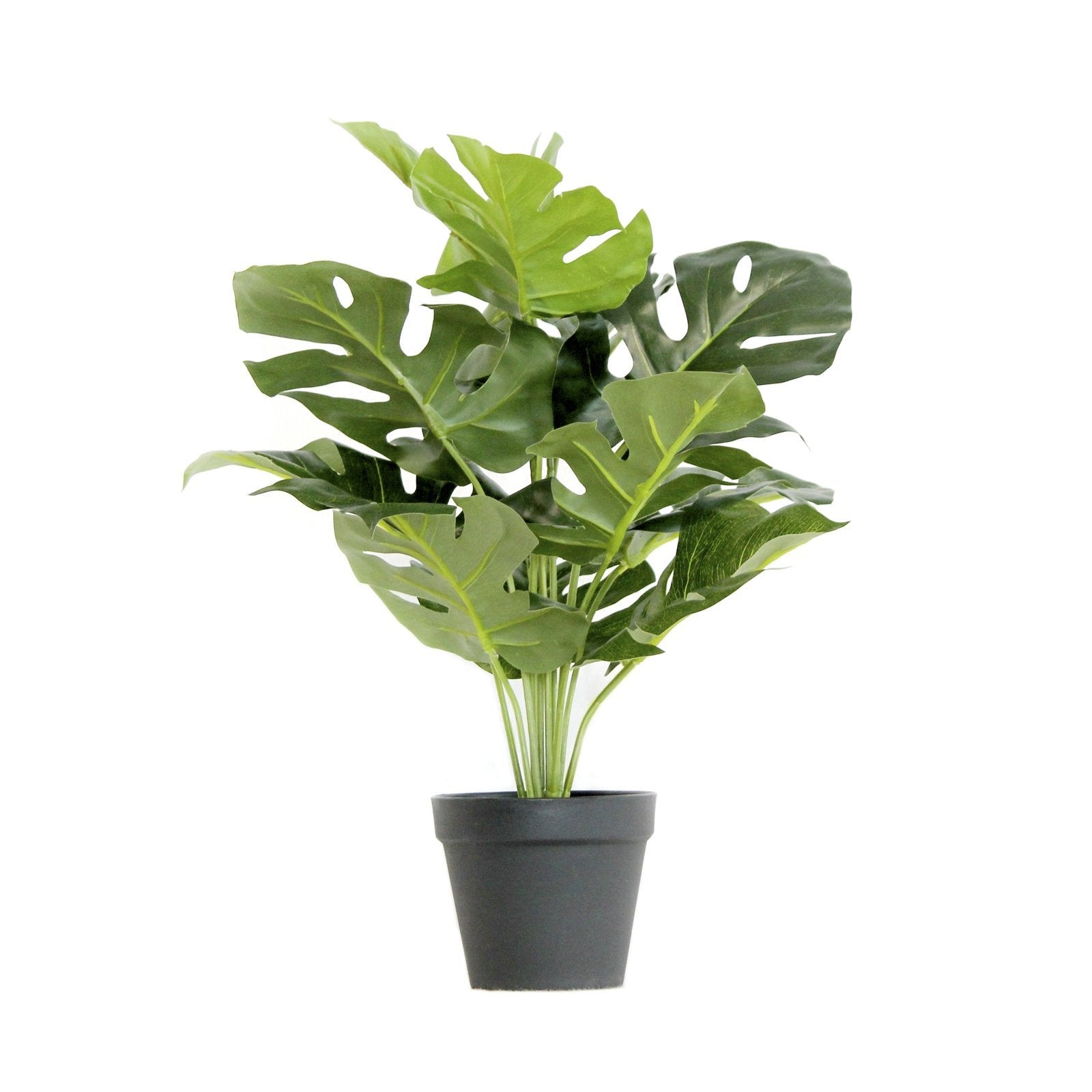 Artificial Plant - Monstera 60cm