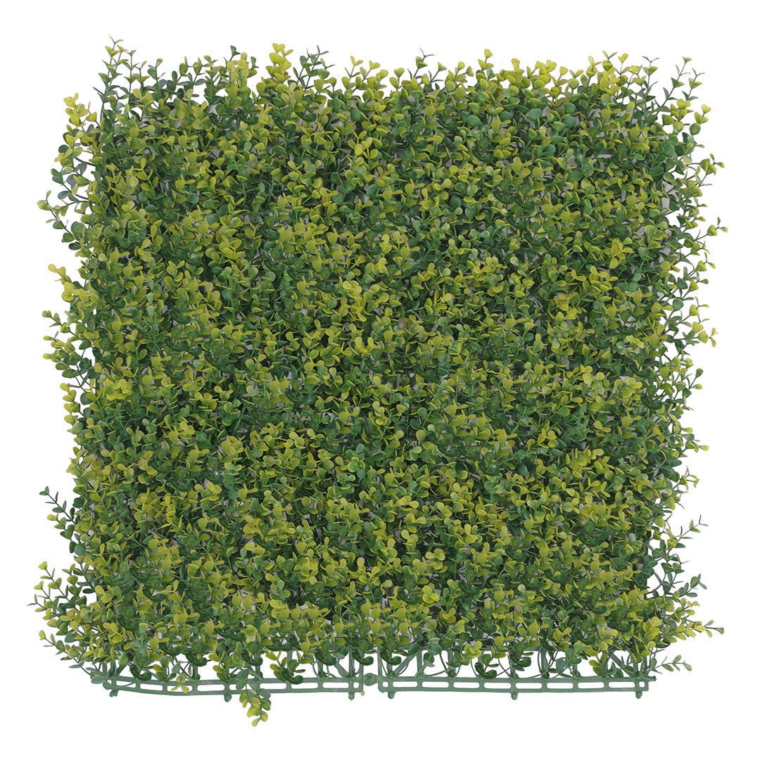 Golden English Box Artificial Hedge Tile: 50cm x 50cm