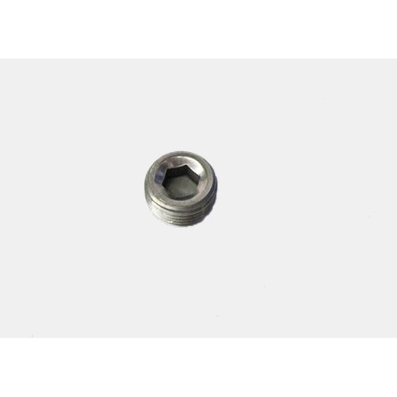 Buy Pioneer Pipe Plugs 3/8"NPT with Hex Socket PIPP554 MyDeal