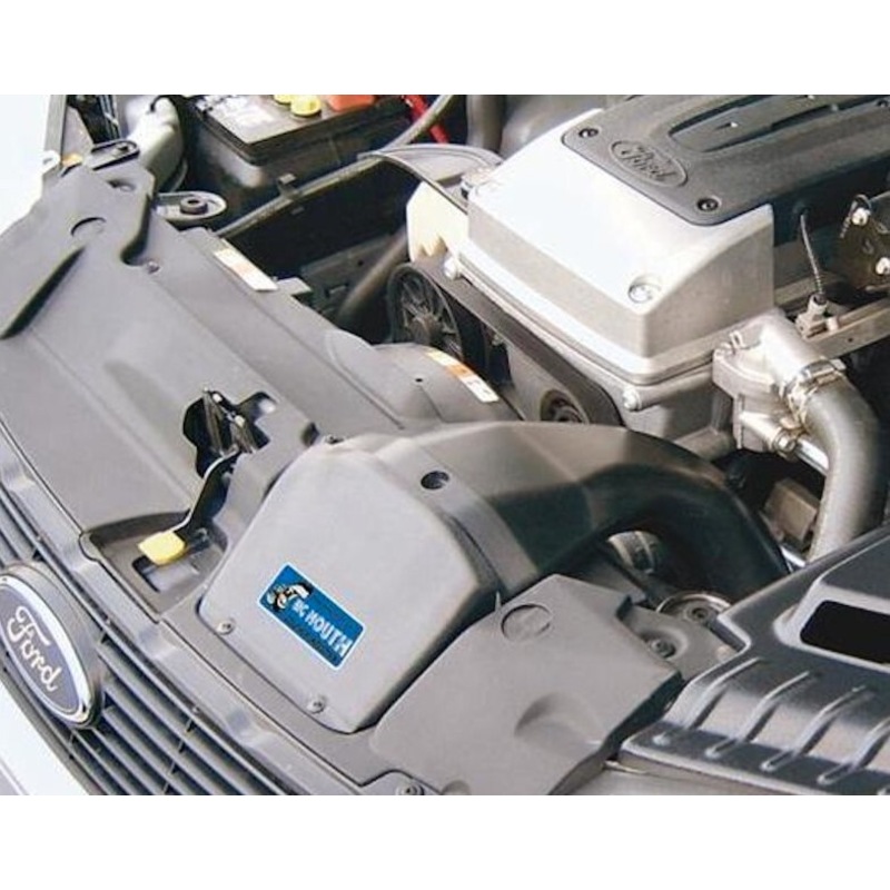 Buy SS Inductions Big Mouth cold air intake for Ford Falcon FG XR6 & Turbo not FGX MyDeal