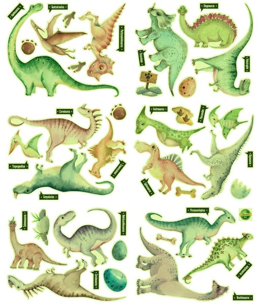 Image 7
