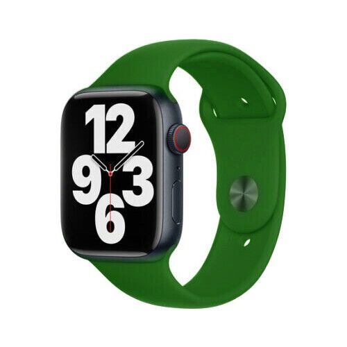 Image 21