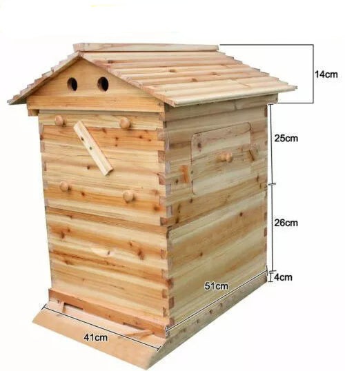 Image 9