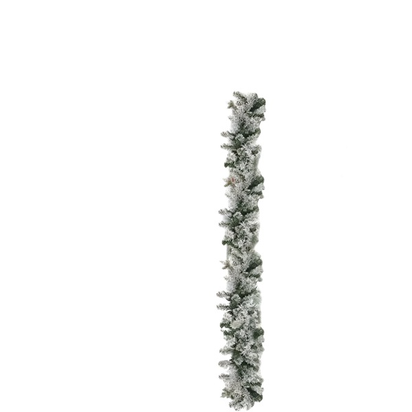 Image 11