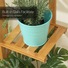 Buy Glossly Plant Stand Outdoor Indoor Wooden Flower Pots Rack Corner 