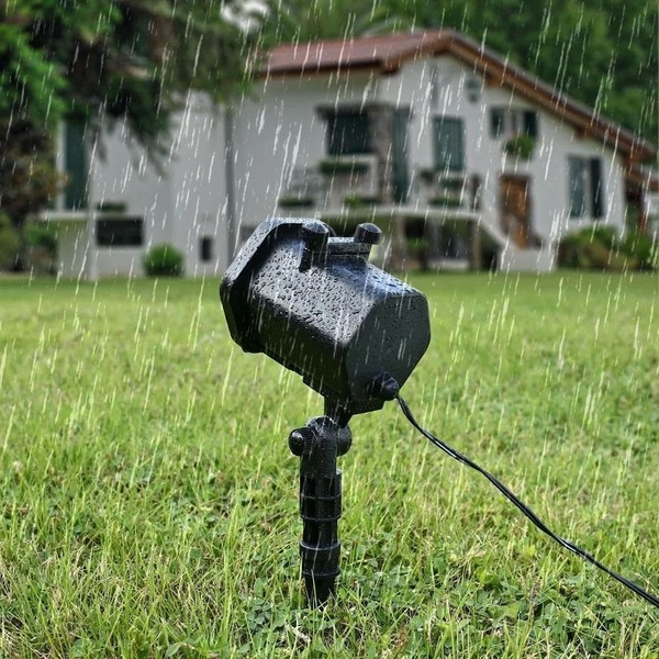 Image 10